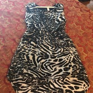 Zebra Print Dress